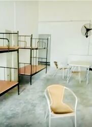 Fong Tat Building (D13), Factory #533350051